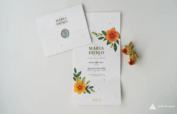 Tenda de Papel 5