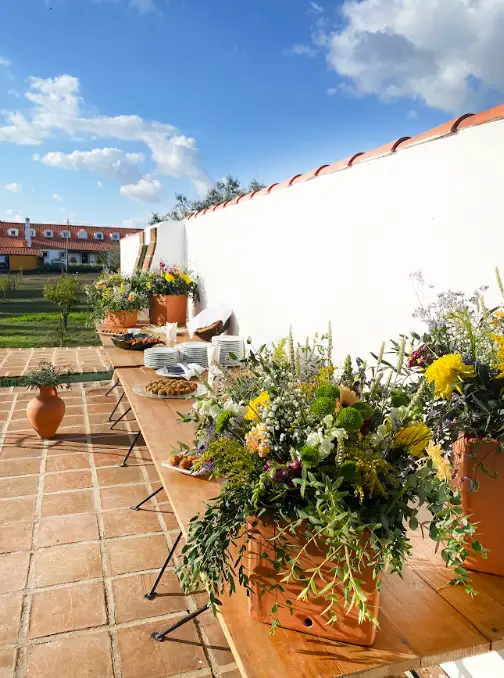 herdade-do-barrocal-de-baixo-9