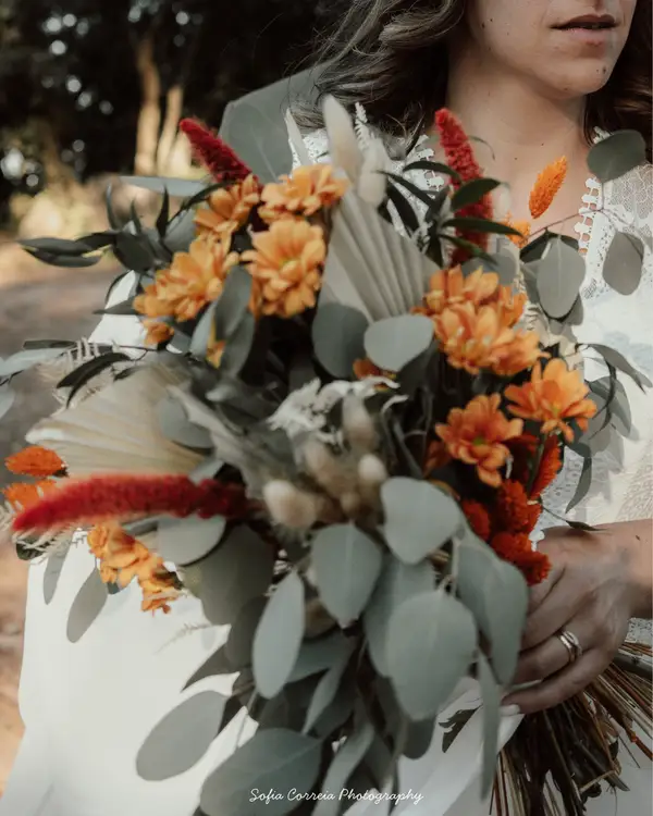 Sofia Correia Photography 5
