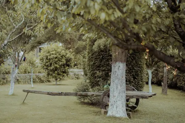 quinta-da-avo-9