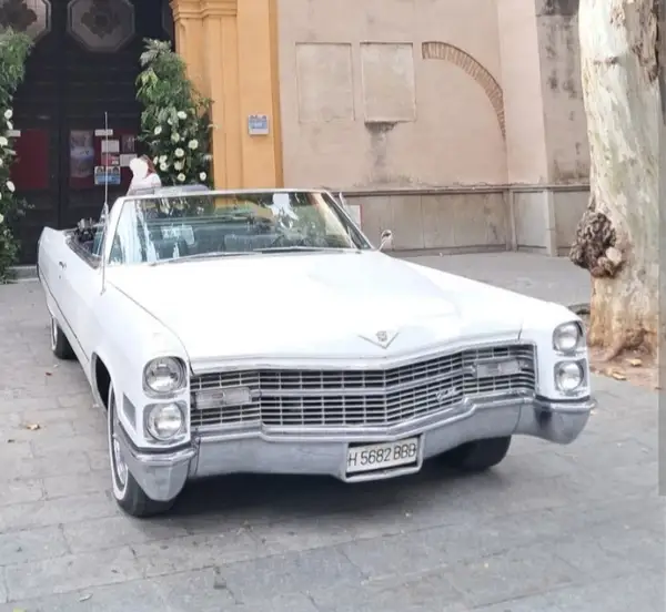 Classic Car Rodrigues 5