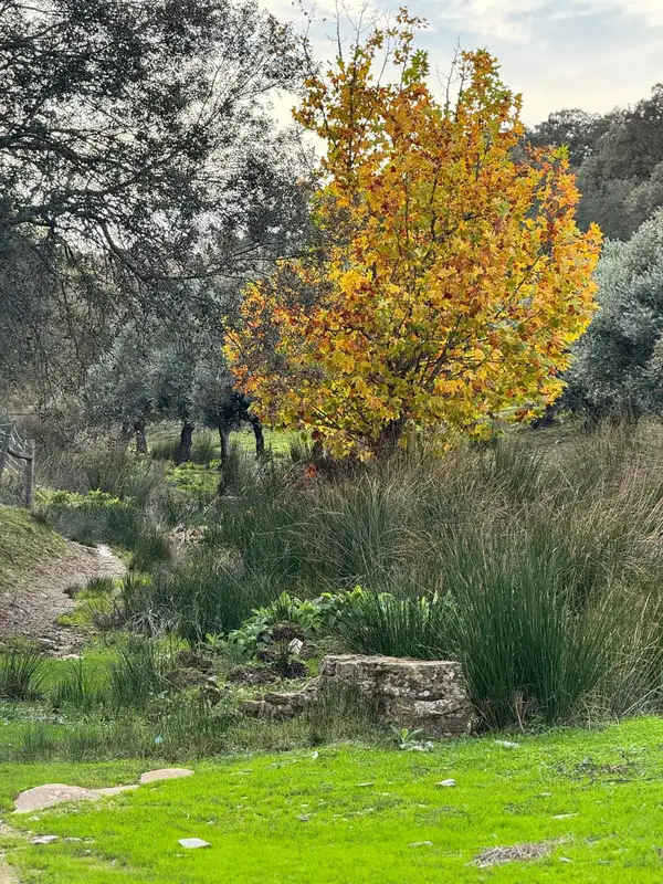 Galeria Herdade São Rafael 2