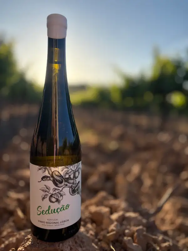 Galeria Vinho Sedução 2