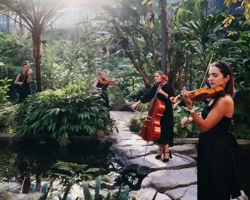Quarteto Infinito
