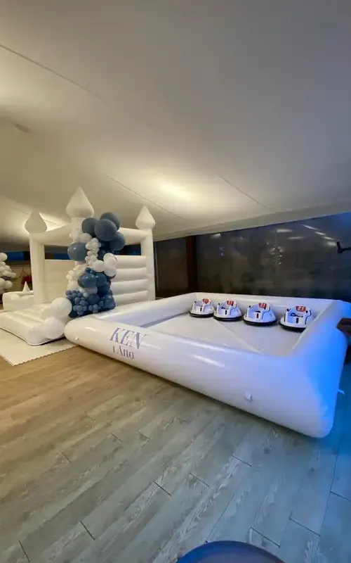Bullapartyconcept