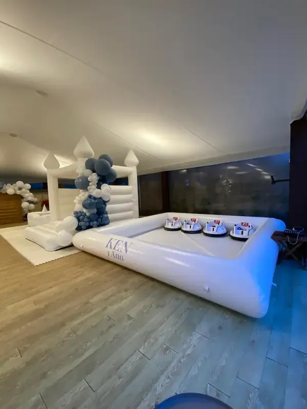 Bullapartyconcept