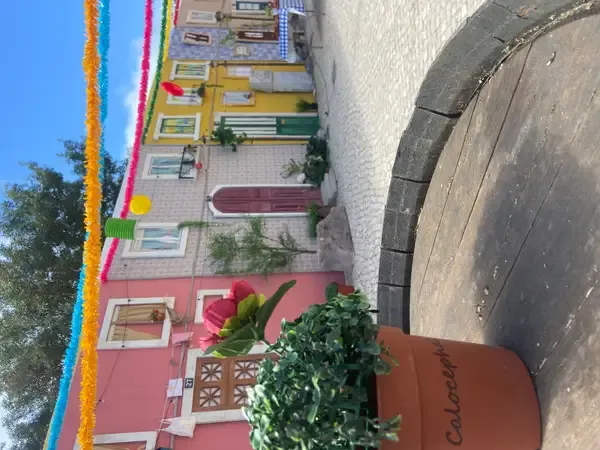 ViverJÁ 18
