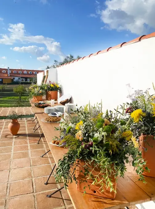 herdade-do-barrocal-de-baixo-9