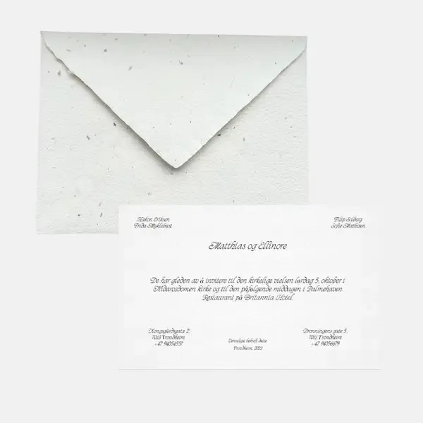 Galeria Cartitas 2