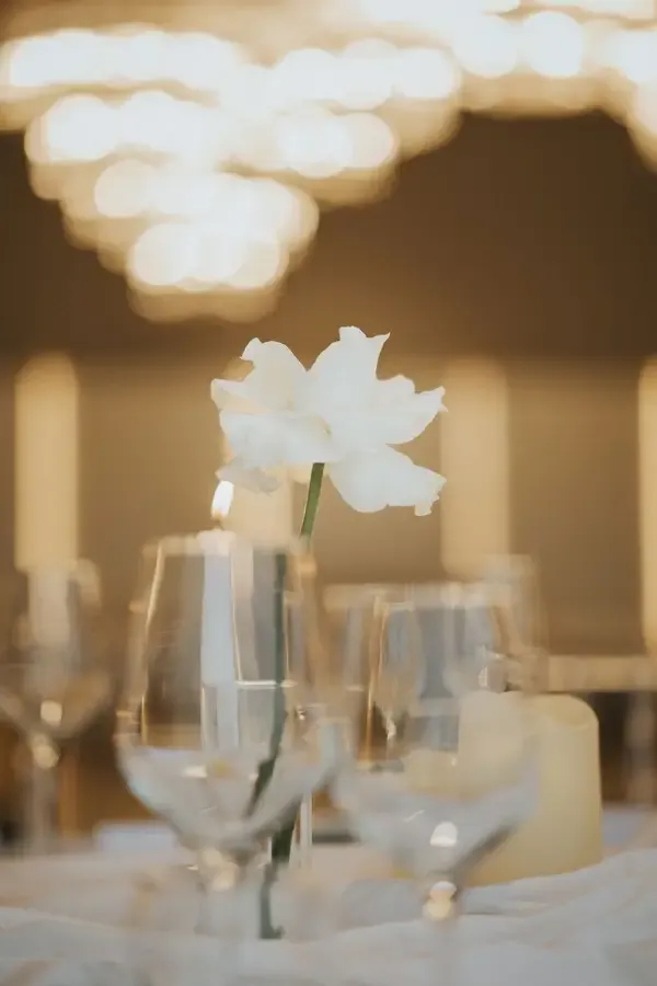 Luma Wedding 5