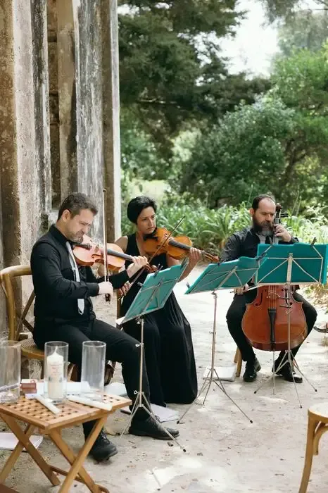 String Quartet Solutions