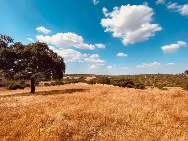 Galeria Herdade São Rafael 1