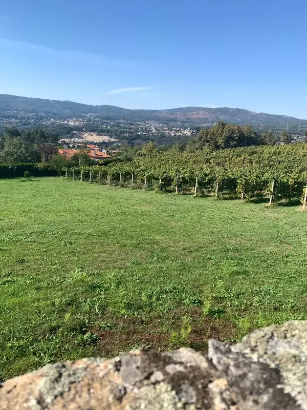 Casa d'Avó Maria 5
