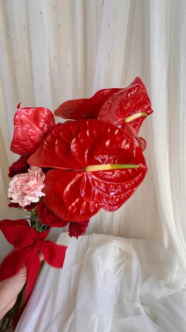 Puraflor 7