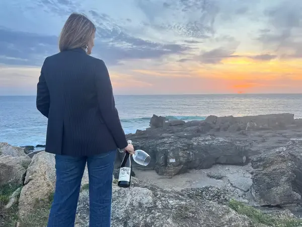 Galeria Vinho Sedução 0