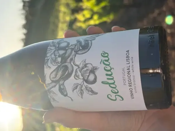 Galeria Vinho Sedução 1