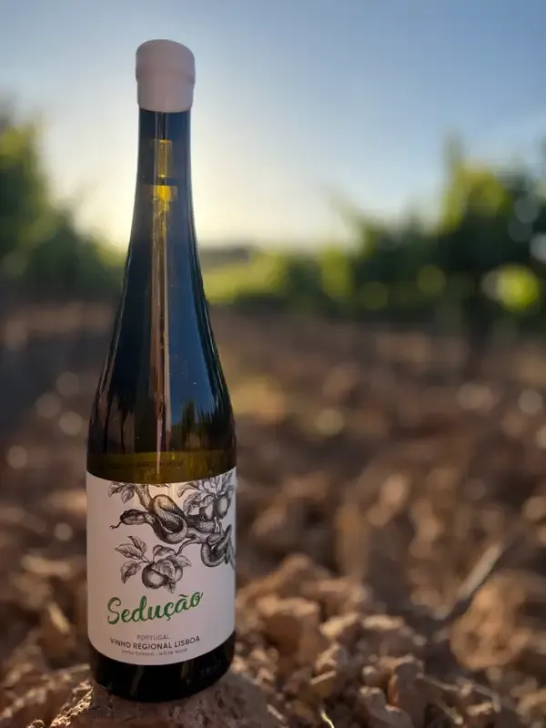 Galeria Vinho Sedução 2