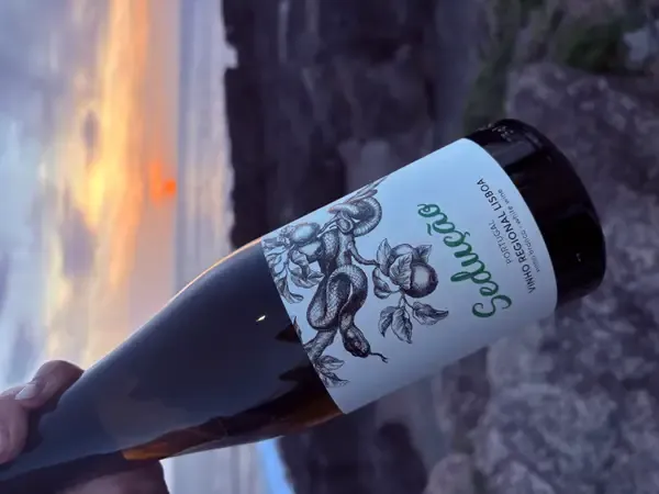 Vinho Sedução 5
