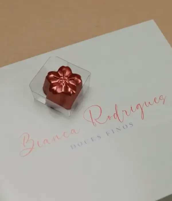 bianca-rodrigues-13