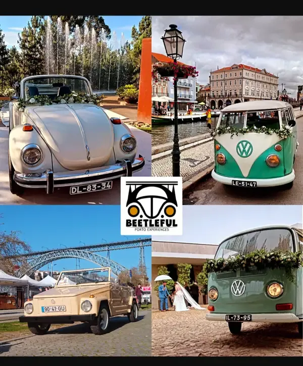 Galeria Beetleful Porto 0