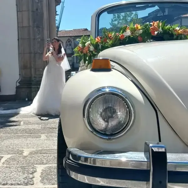 Beetleful Porto 6