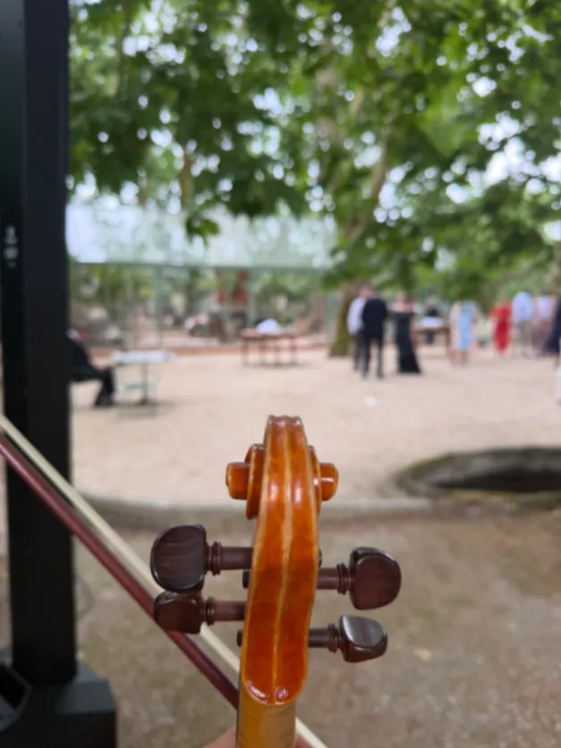 Galeria Teresa Julião - Violinista