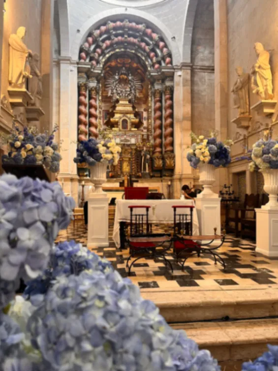 Galeria Teresa Julião - Violinista
