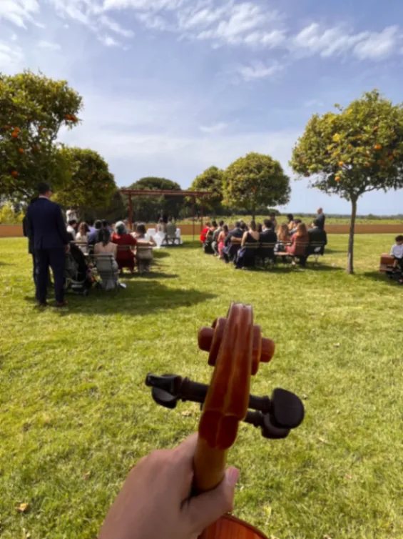 Galeria Teresa Julião - Violinista