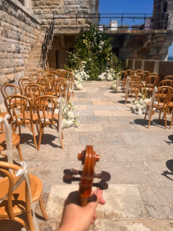 Galeria Teresa Julião - Violinista
